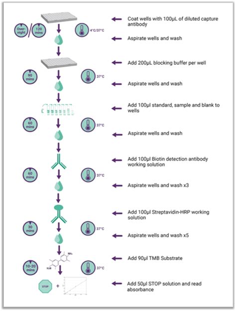 elisa kit standard|elisa calculation online.